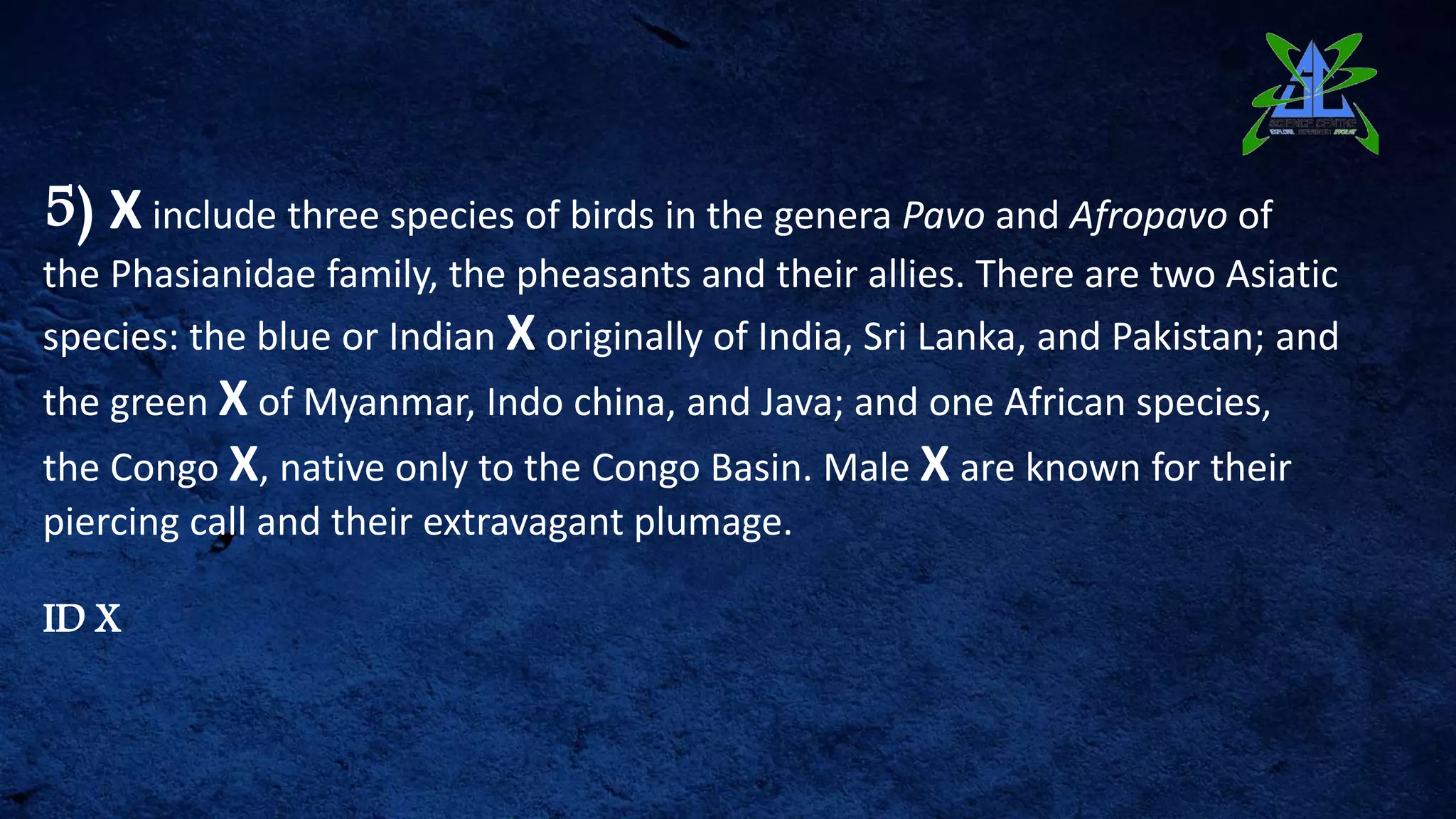 5) X include three species of birds in the genera Pavo and Afropavo of
the Phasianidae family, the pheasants and their allies. There are two Asiatic
species: the blue or Indian X originally of India, Sri Lanka, and Pakistan; and
the green X of Myanmar, Indo china, and Java; and one African species,
the Congo X, native only to the Congo Basin. Male X are known for their
piercing call and their extravagant plumage.
ID X
 
