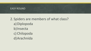 EASY ROUND
2.Spiders are members of what class?
a)Diplopoda
b)Insecta
c) Chilopoda
d)Arachnida
 
