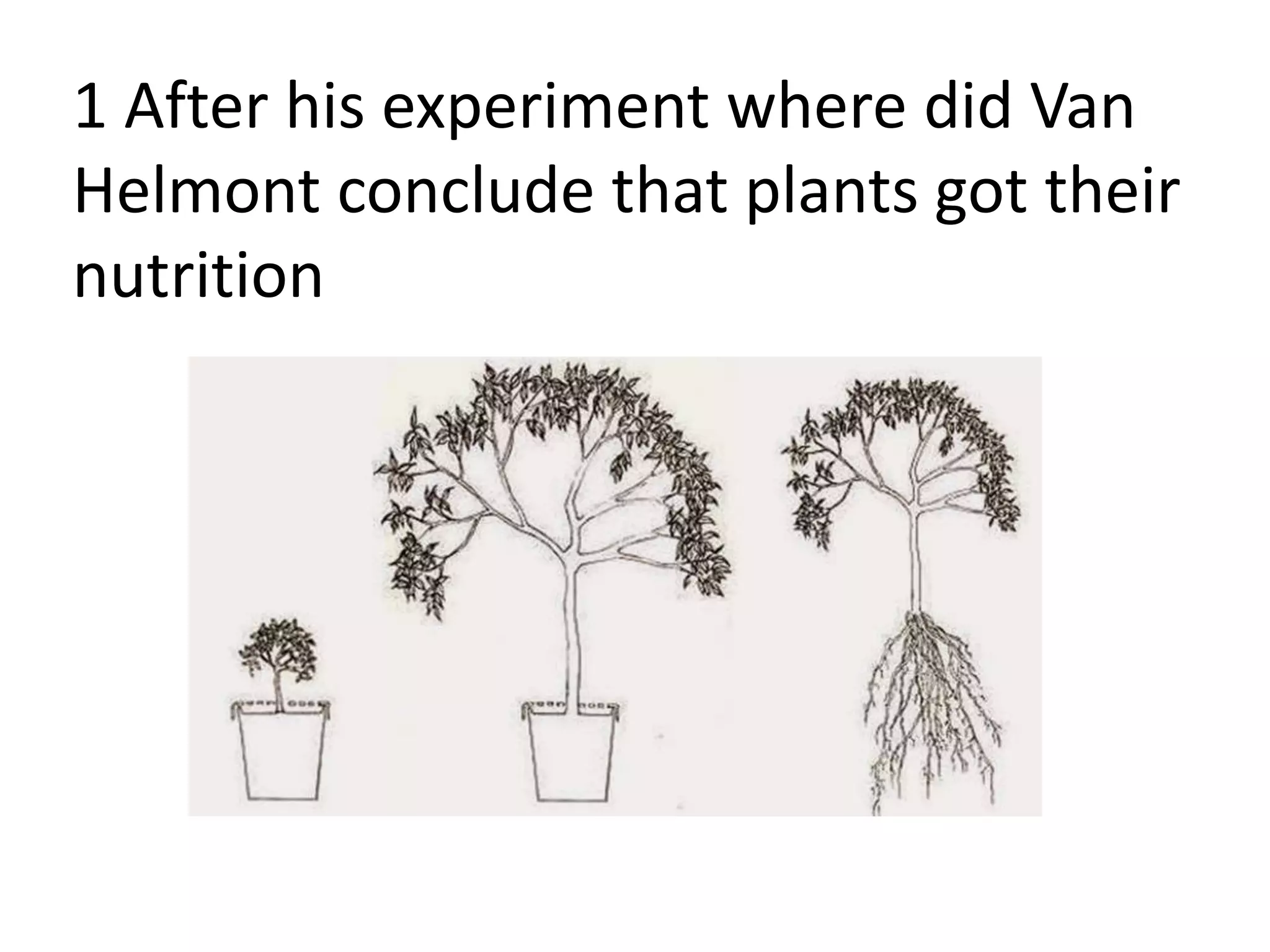 1 After his experiment where did Van
Helmont conclude that plants got their
nutrition
 