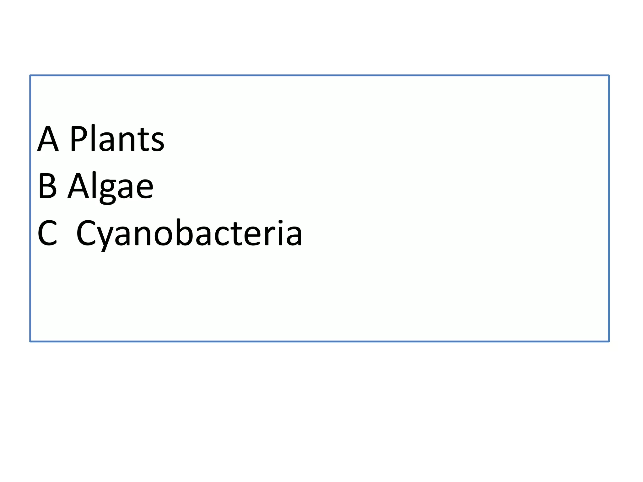 A Plants
B Algae
C Cyanobacteria
 