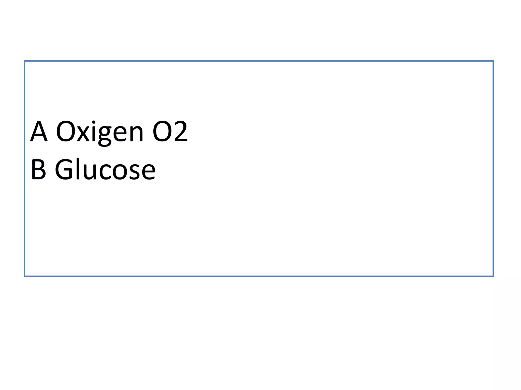 A Oxigen O2
B Glucose
 