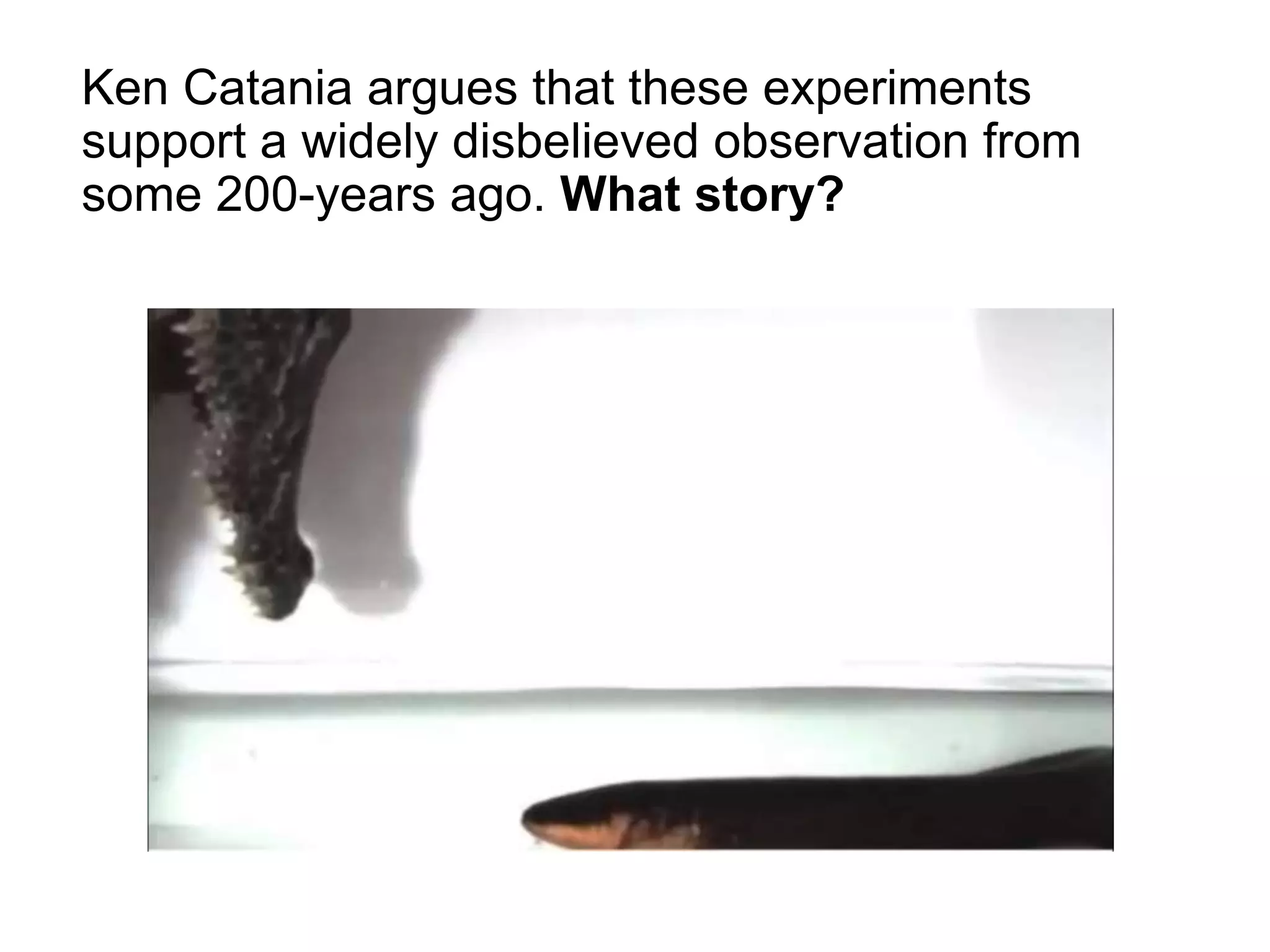 Ken Catania argues that these experiments
support a widely disbelieved observation from
some 200-years ago. What story?
 