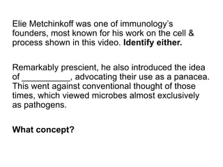 Elie Metchinkoff was one of immunology’s
founders, most known for his work on the cell &
process shown in this video. Identify either.
Remarkably prescient, he also introduced the idea
of __________, advocating their use as a panacea.
This went against conventional thought of those
times, which viewed microbes almost exclusively
as pathogens.
What concept?
 
