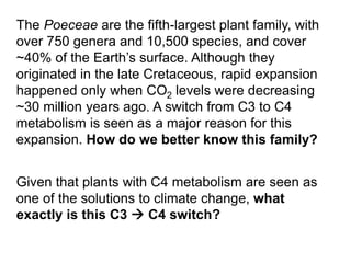 The Poeceae are the fifth-largest plant family, with
over 750 genera and 10,500 species, and cover
~40% of the Earth’s surface. Although they
originated in the late Cretaceous, rapid expansion
happened only when CO2 levels were decreasing
~30 million years ago. A switch from C3 to C4
metabolism is seen as a major reason for this
expansion. How do we better know this family?
Given that plants with C4 metabolism are seen as
one of the solutions to climate change, what
exactly is this C3  C4 switch?
 