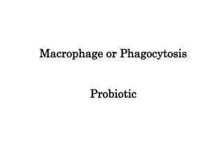 Macrophage or Phagocytosis
Probiotic
 