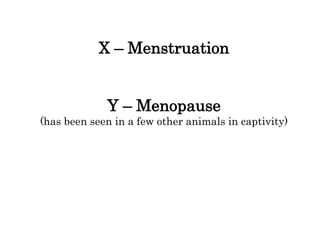 X – Menstruation
Y – Menopause
(has been seen in a few other animals in captivity)
 