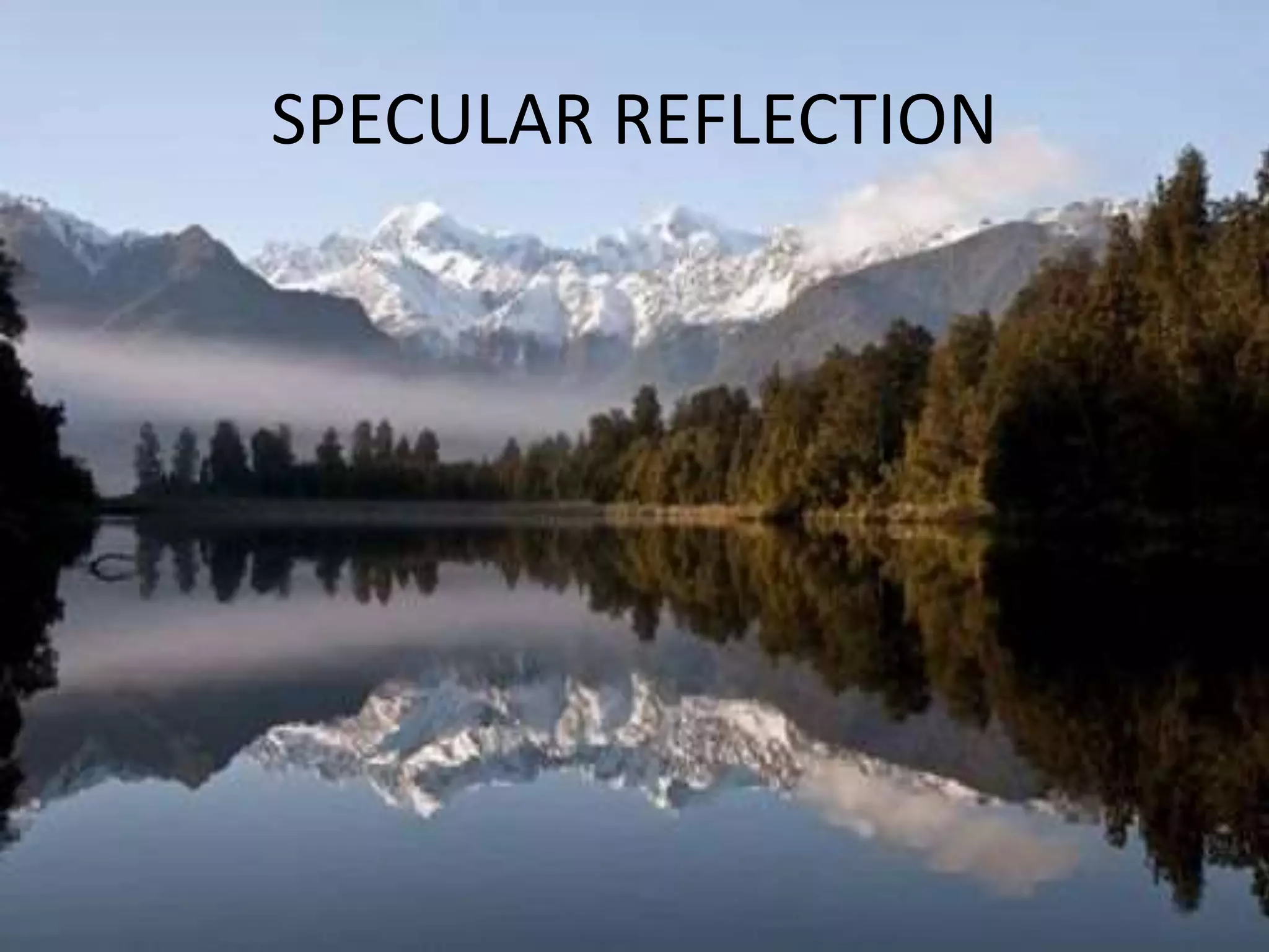 SPECULAR REFLECTION
 