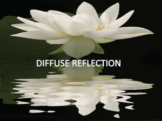 Science: reflection | PPTX