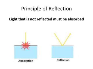 Science: reflection | PPTX