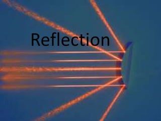 Reflection
 