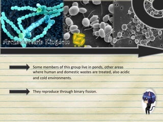 and cold environments.
Some members of this group live in ponds, other areas
where human and domestic wastes are treated, also acidic
They reproduce through binary fission.
 