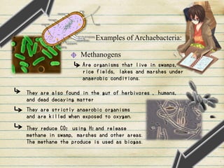 Examples of Archaebacteria:
Methanogens
Are organisms that live in swamps,
rice fields, lakes and marshes under
anaerobic conditions.
They are also found in the gut of herbivores , humans,
and dead decaying matter
They are strictly anaerobic organisms
and are killed when exposed to oxygen.
They reduce CO2 using H2 and release
methane in swamp, marshes and other areas.
The methane the produce is used as biogas.
 