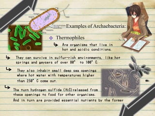 Examples of Archaebacteria:
Thermophiles
Are organisms that live in
hot and acidic conditions.
They can survive in sulfur-rich environments, like hot
springs and geysers of over 80° to 100°C.
They also inhabit small deep sea openings
where hot water with temperatures higher
than 250°C come out.
The turn hydrogen sulfide (H2S)released from
these openings to food for other organisms.
And in turn are provided essential nutients by the former
 