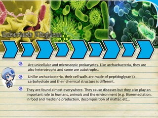 Are unicellular and microscopic prokaryotes. Like archaebacteria, they are
also heterotrophs and some are autotrophs.
Unlike archaebacteria, their cell walls are made of peptidoglycan (a
carbohydrate and their chemical structure is different.
They are found almost everywhere. They cause diseases but they also play an
important role to humans, animals and the environment (e.g. Bioremediation,
in food and medicine production, decomposition of matter, etc…
 