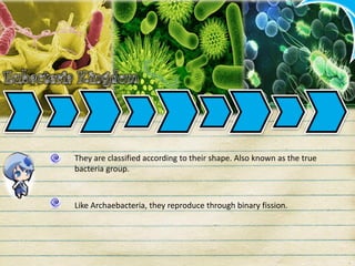 They are classified according to their shape. Also known as the true
bacteria group.
Like Archaebacteria, they reproduce through binary fission.
 