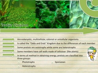 Are eukaryotic, multicellular, colonial or unicellular organisms
Is called the “Odds and Ends” Kingdom due to the differences of each member
Some members have cell walls made of cellulose (like plants)
In terms of method in obtaining energy, protists are classified into
three groups:
Some protists are autotrophs while some are heterotrophs
Phototrophs
Heterotrophs
Sporozoan
 