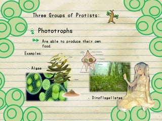 Three Groups of Protists:
Phototrophs
Are able to produce their own
food.
Examples:
Algae
Dinoflagellates
 