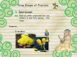 Three Groups of Protists:
Sporozoan
Feed on other organisms but are
nonmotile and form spores, like
Examples:
Slime Mold
fungi
 
