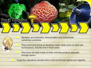 Members are Eukaryotic, heterotrophic and multicellular
sometimes unicellular
They commonly thrive on decaying matter while some on dark and
humid places, only few live in fresh water.
They have cell walls made of chitin and they produce asexually
through spores.
Fungi also reproduce sexually when male and female hyphae join together.
 