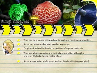 They can be a source or ingredient in food and medicine production.
Some members are harmful to other organisms
Fungi are involved in the decomposition of organic materials
They are all non-vascular and typically non-motile, although a
few (e.g. Chytrids) have a motile phase.
Some are parasites while some feed on dead matter (saprophytes)
 