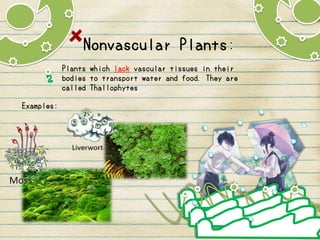 Nonvascular Plants
Plants which lack vascular tissues in their
bodies to transport water and food. They are
called Thallophytes
Examples:
 
