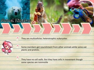 They are multicellular, heterotrophic eukaryotes
Some members get nourishment from other animals while some eat
plants and protists.
They have no cell walls. But they have cells in movement though
some species are nonmotile
 
