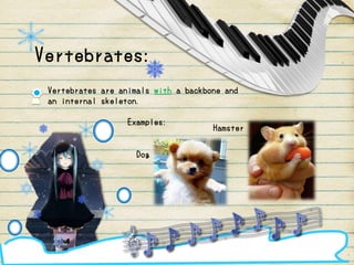 Vertebrates:
Vertebrates are animals with a backbone and
an internal skeleton.
Examples:
Dog
Hamster
 