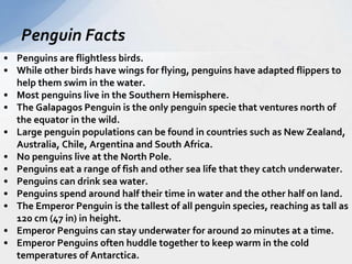 Penguin Facts 
• Penguins are flightless birds. 
• While other birds have wings for flying, penguins have adapted flippers to 
help them swim in the water. 
• Most penguins live in the Southern Hemisphere. 
• The Galapagos Penguin is the only penguin specie that ventures north of 
the equator in the wild. 
• Large penguin populations can be found in countries such as New Zealand, 
Australia, Chile, Argentina and South Africa. 
• No penguins live at the North Pole. 
• Penguins eat a range of fish and other sea life that they catch underwater. 
• Penguins can drink sea water. 
• Penguins spend around half their time in water and the other half on land. 
• The Emperor Penguin is the tallest of all penguin species, reaching as tall as 
120 cm (47 in) in height. 
• Emperor Penguins can stay underwater for around 20 minutes at a time. 
• Emperor Penguins often huddle together to keep warm in the cold 
temperatures of Antarctica. 
 