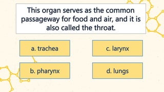 This organ serves as the common
passageway for food and air, and it is
also called the throat.
a. trachea
b. pharynx
c. larynx
d. lungs
 