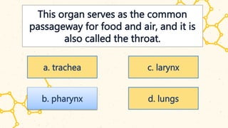This organ serves as the common
passageway for food and air, and it is
also called the throat.
a. trachea
b. pharynx
c. larynx
d. lungs
 