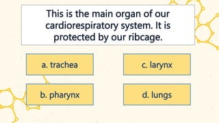 This is the main organ of our
cardiorespiratory system. It is
protected by our ribcage.
a. trachea
b. pharynx
c. larynx
d. lungs
 
