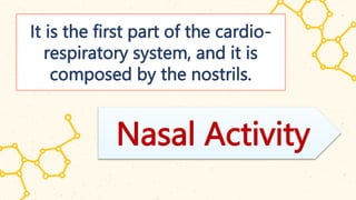 It is the first part of the cardio-
respiratory system, and it is
composed by the nostrils.
Nasal Activity
 