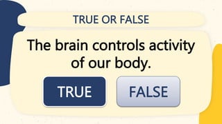 TRUE OR FALSE
The brain controls activity
of our body.
FALSE
TRUE
 