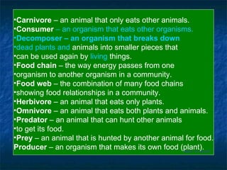 Back to Board Carnivore  – an animal that only eats other animals. Consumer   – an organism that eats other organisms. Decomposer  – an organism that breaks down  dead plants and  animals into smaller pieces that  can be used again by  living  things. Food chain  – the way energy passes from one  organism to another organism in a community. Food web  – the combination of many food chains  showing food relationships in a community. Herbivore  – an animal that eats only plants. Omnivore  – an animal that eats both plants and animals. Predator  – an animal that can hunt other animals  to get its food. Prey  – an animal that is hunted by another animal for food. Producer  – an organism that makes its own food (plant).   