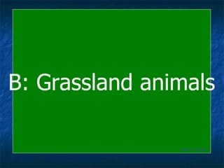 B: Grassland animals Back to Board 