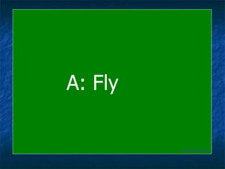 A: Fly Back to Board 