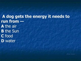 Show Answer A dog gets the energy it needs to  run from — A  the air B  the Sun C  food D  water 