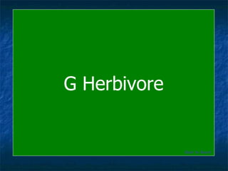 G Herbivore Back to Board 
