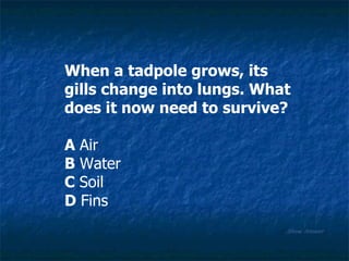 Show Answer When a tadpole grows, its gills change into lungs. What does it now need to survive? A  Air B  Water C  Soil D  Fins 