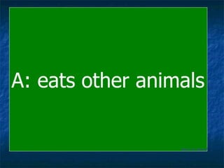 A: eats other animals Back to Board 