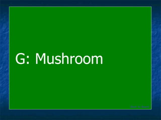 G: Mushroom Back to Board 