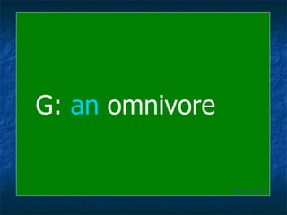 G:  an  omnivore Back to Board 