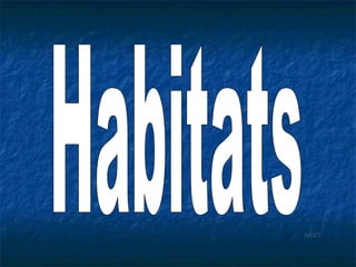 Habitats NEXT 
