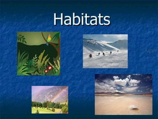 Habitats NEXT 