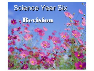 Science Year Six
  Revision
 