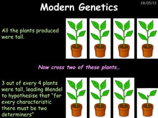 Junior Cycle Science. Biology. Inheritance and Selection. By Theresa ...