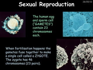 Junior Cycle Science. Biology. Inheritance and Selection. By Theresa ...