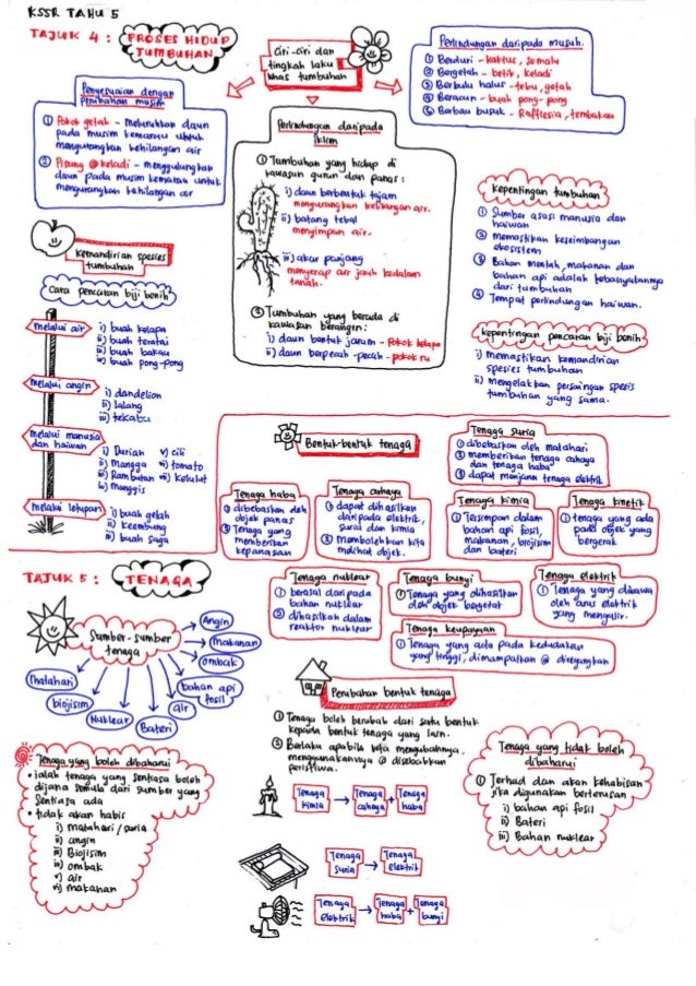 Science revisionnotesbyameerfirdaus