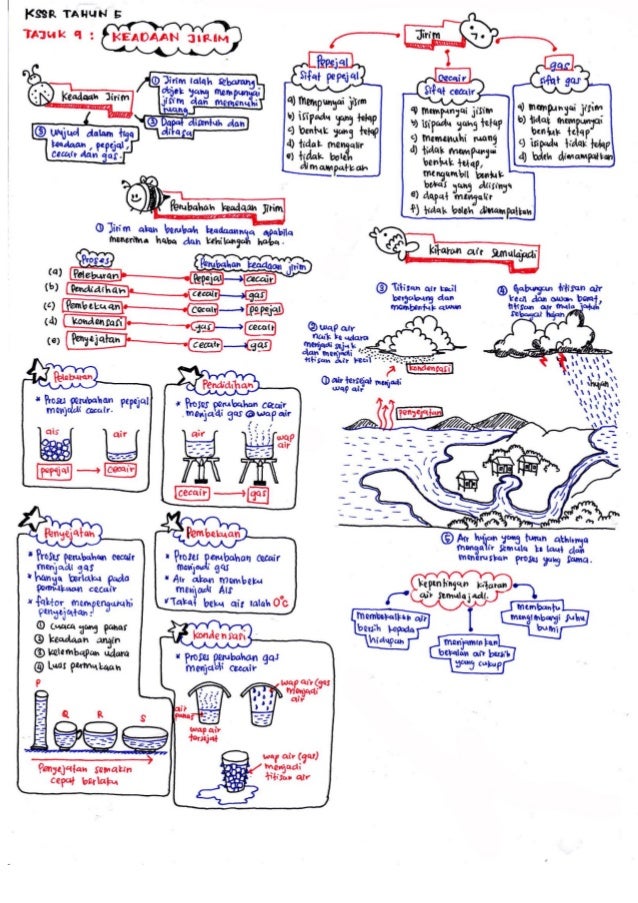 Science revisionnotesbyameerfirdaus