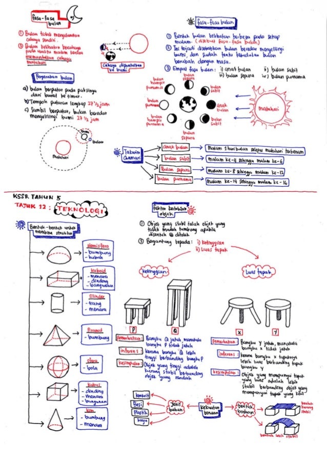 Science revisionnotesbyameerfirdaus